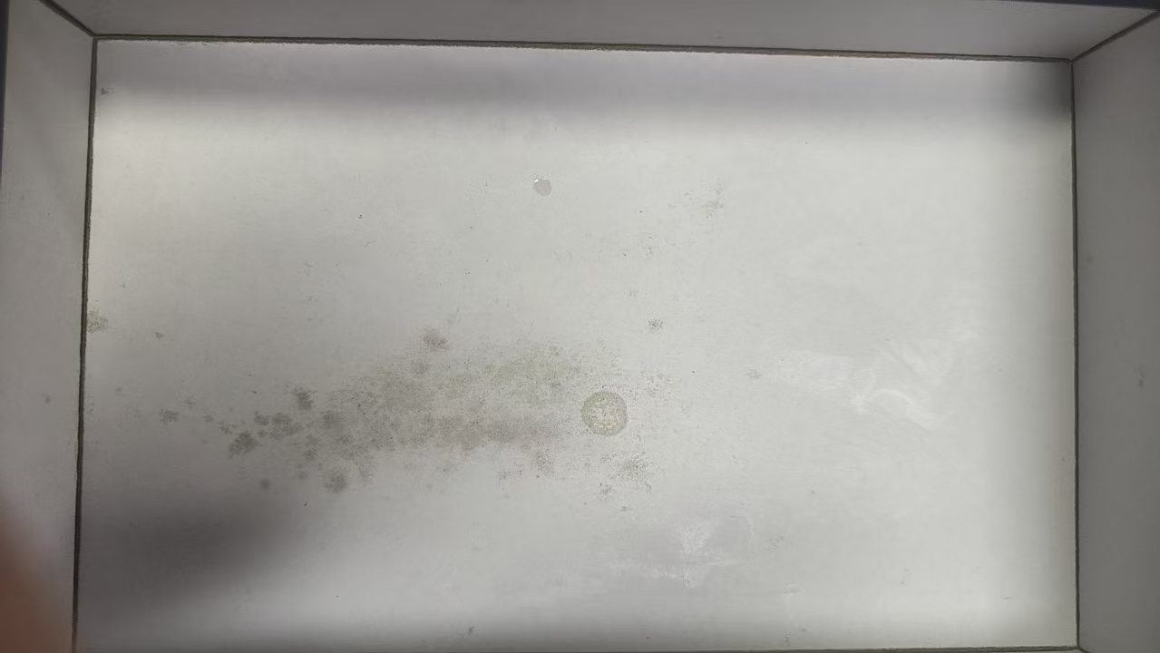 包装盒发霉怎么处理